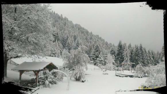 B&B Lo Scoiattolo Nebbiu Exterior foto